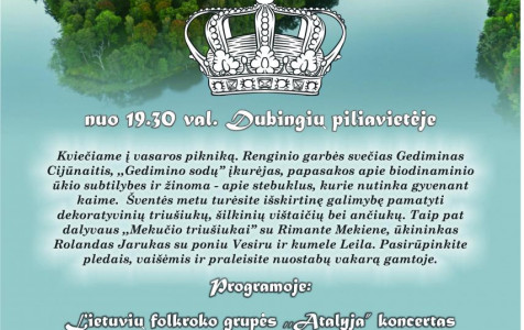 Liepos 6 Dubingiuose.jpg
